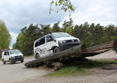 Fuerstenau_2015_05_08